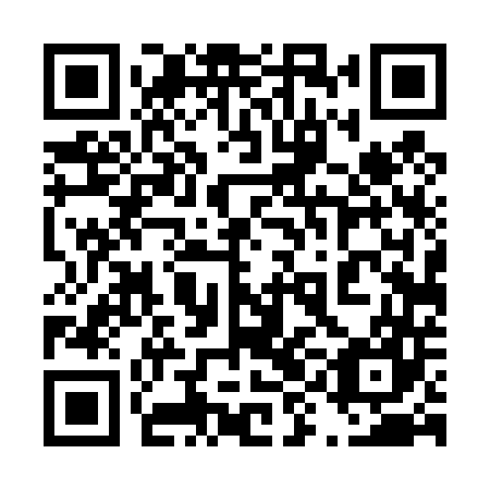 QR code for plate 49D 447