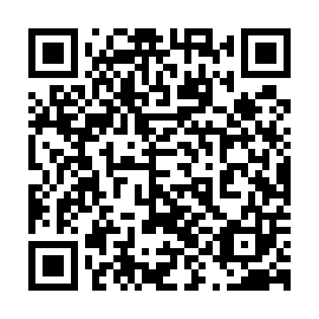 QR code for plate 49D U03