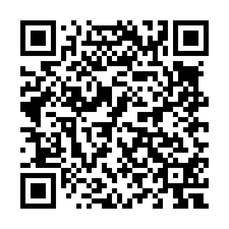 QR code for plate 49E L10