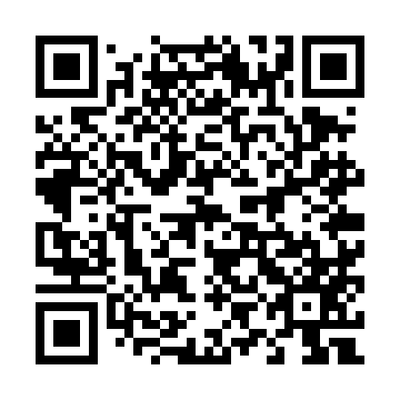 QR code for plate 49G TM7