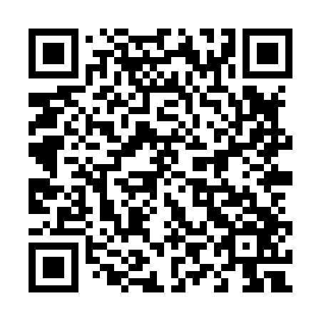 QR code for plate 49H X46