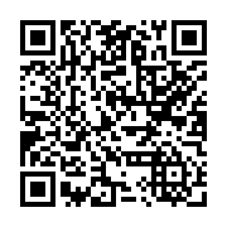 QR code for 49LI55