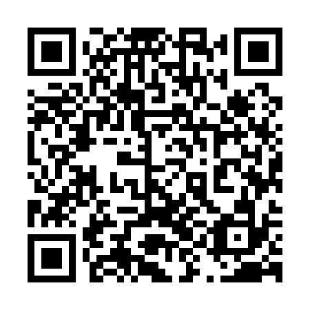 QR code for plate 49M 132