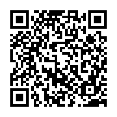 QR code for plate 49M 376