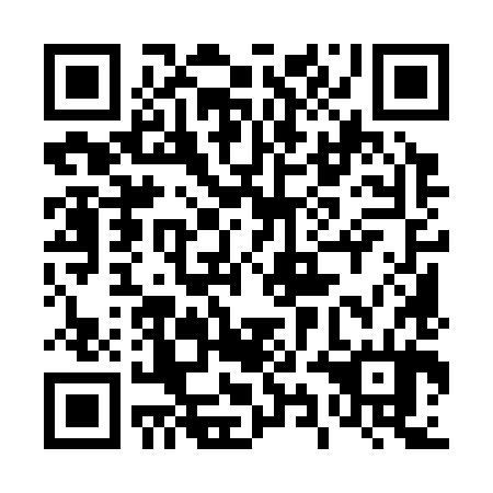 QR code for plate 49M 384