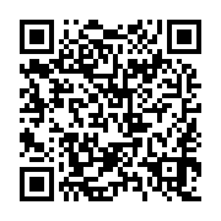 QR code for plate 49N 950