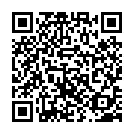 QR code for 49O299