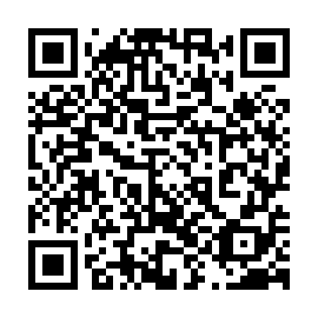 QR code for 49O858