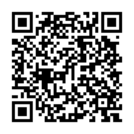 QR code for 49P 006
