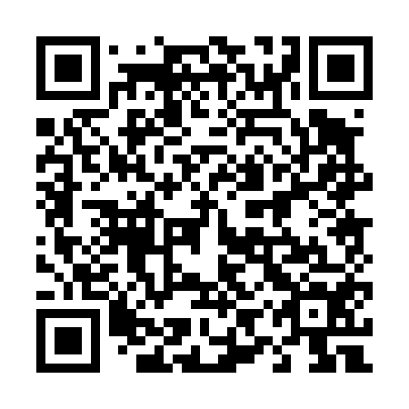QR code for 49P 454