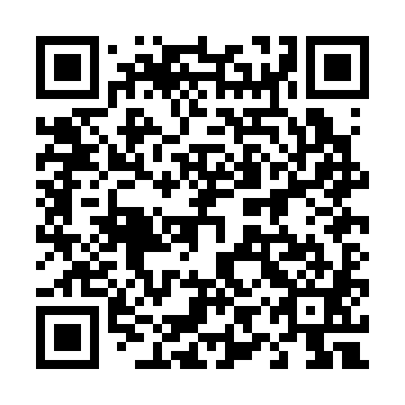 QR code for 49P C81
