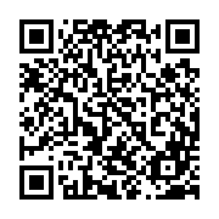 QR code for 49P G46