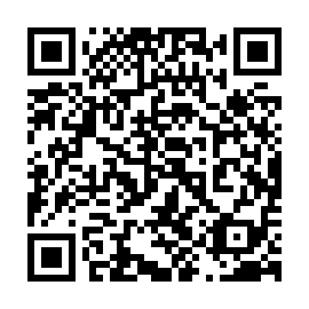 QR code for 49P Z19