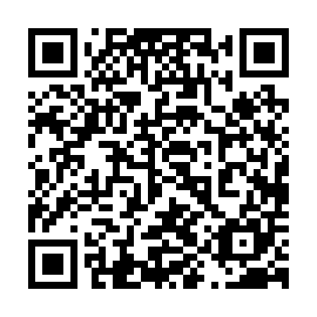 QR code for 49P205