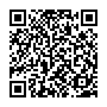 QR code for plate 49P A30