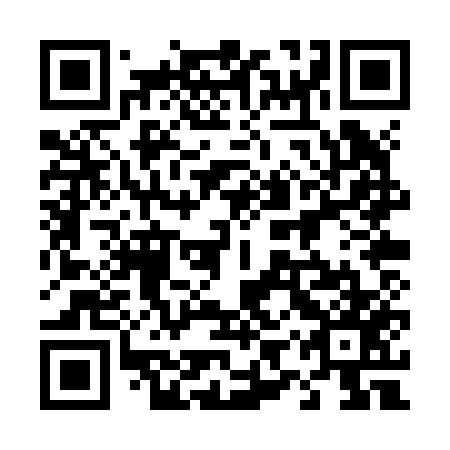 QR code for plate 49P Z57