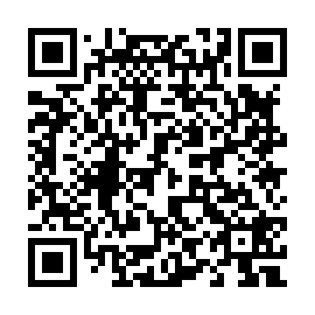 QR code for 49Q 828