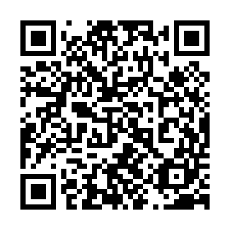 QR code for 49Q P40