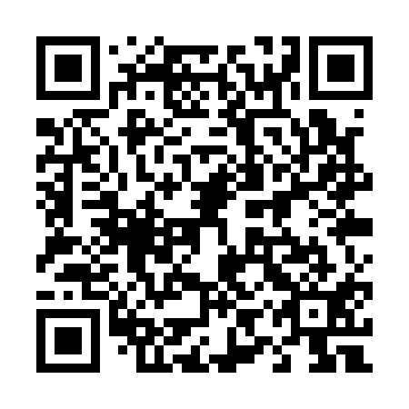 QR code for 49Q Q11