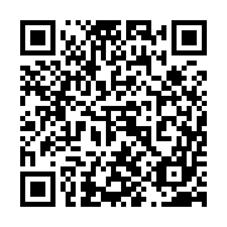 QR code for plate 49Q 957