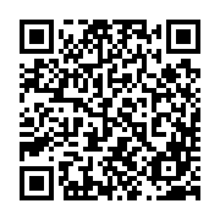 QR code for plate 49R 746