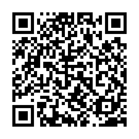 QR code for plate 49R G11