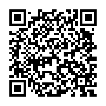 QR code for plate 49R T99