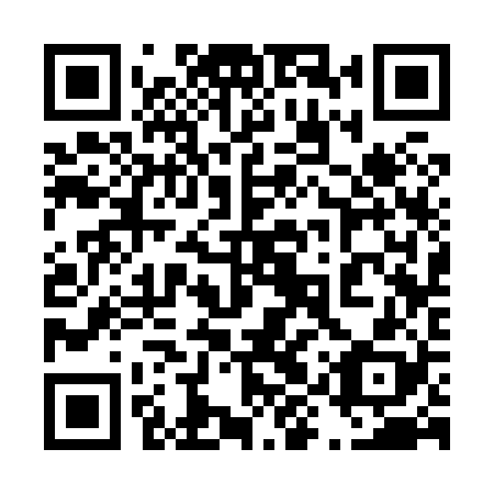 QR code for plate 49S 828