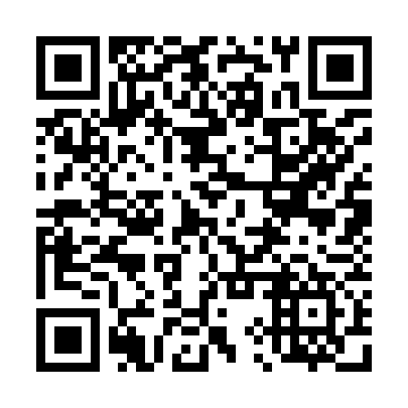 QR code for plate 49S 977