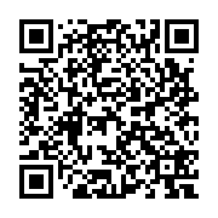 QR code for plate 49S A28