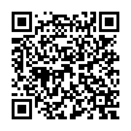 QR code for plate 49S NB4