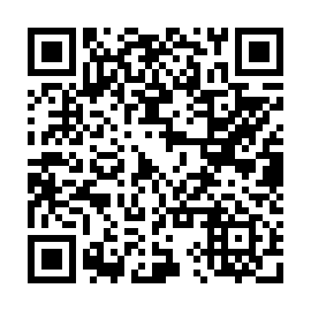 QR code for plate 49S V19