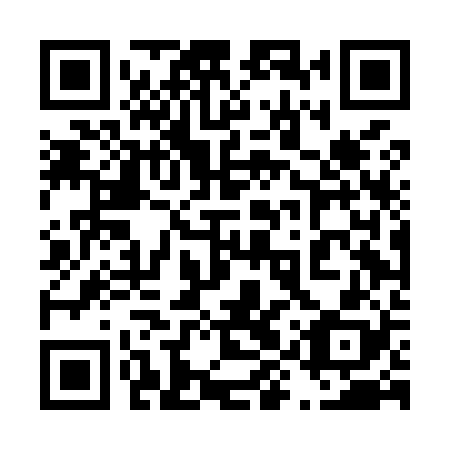 QR code for plate 49T M28