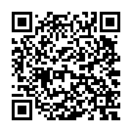 QR code for 49TT29