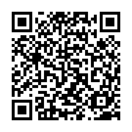 QR code for plate 49U 065