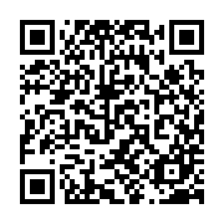 QR code for plate 49U 387