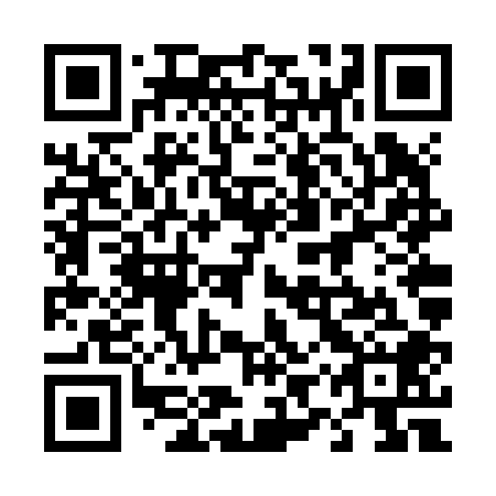 QR code for 49V Z08