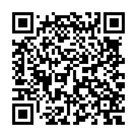 QR code for plate 49V L06