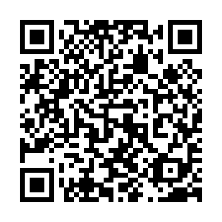 QR code for plate 49W 099