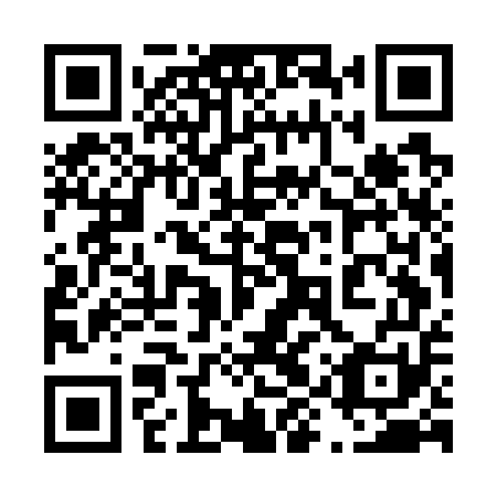 QR code for plate 49W G51