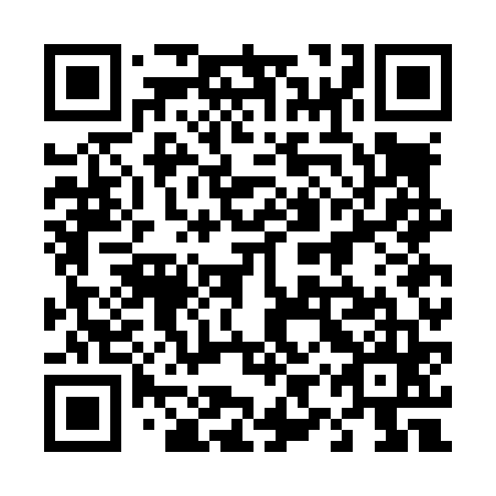QR code for plate 49W L65