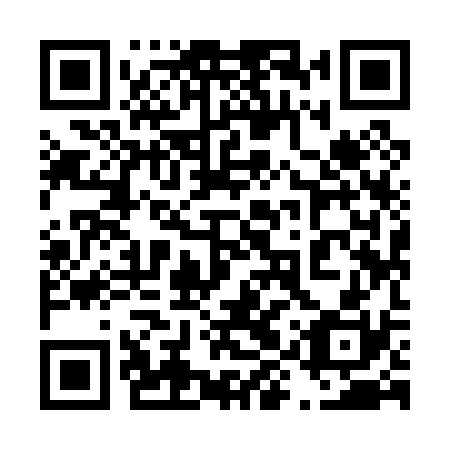 QR code for plate 49Y 030