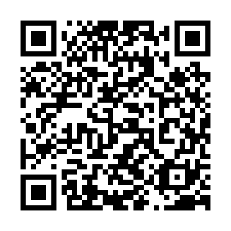 QR code for 49Y271