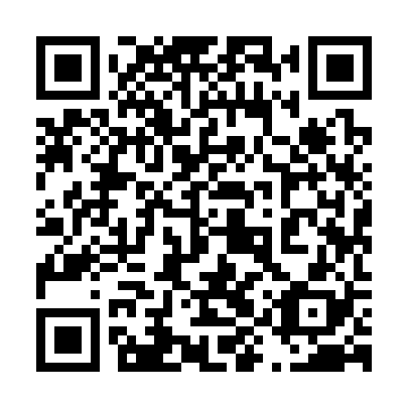 QR code for plate 49Y 328