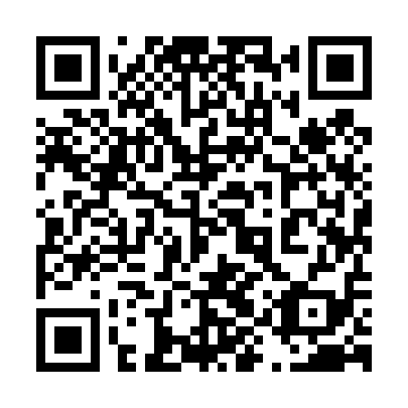 QR code for plate 49Y 419