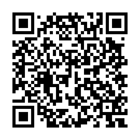 QR code for plate 49Z 013