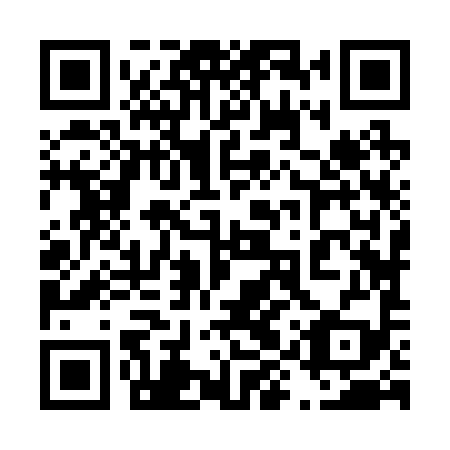QR code for plate 49Z 299