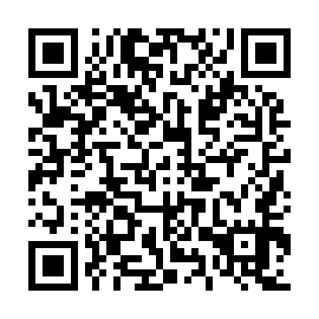 QR code for plate 49Z 955