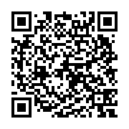 QR code for plate 4AP 638