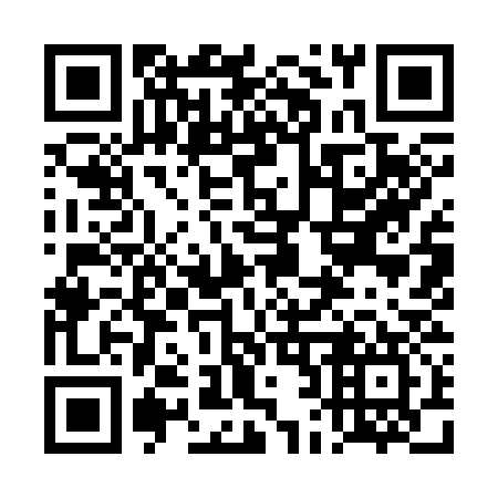 QR code for plate 4B9 337